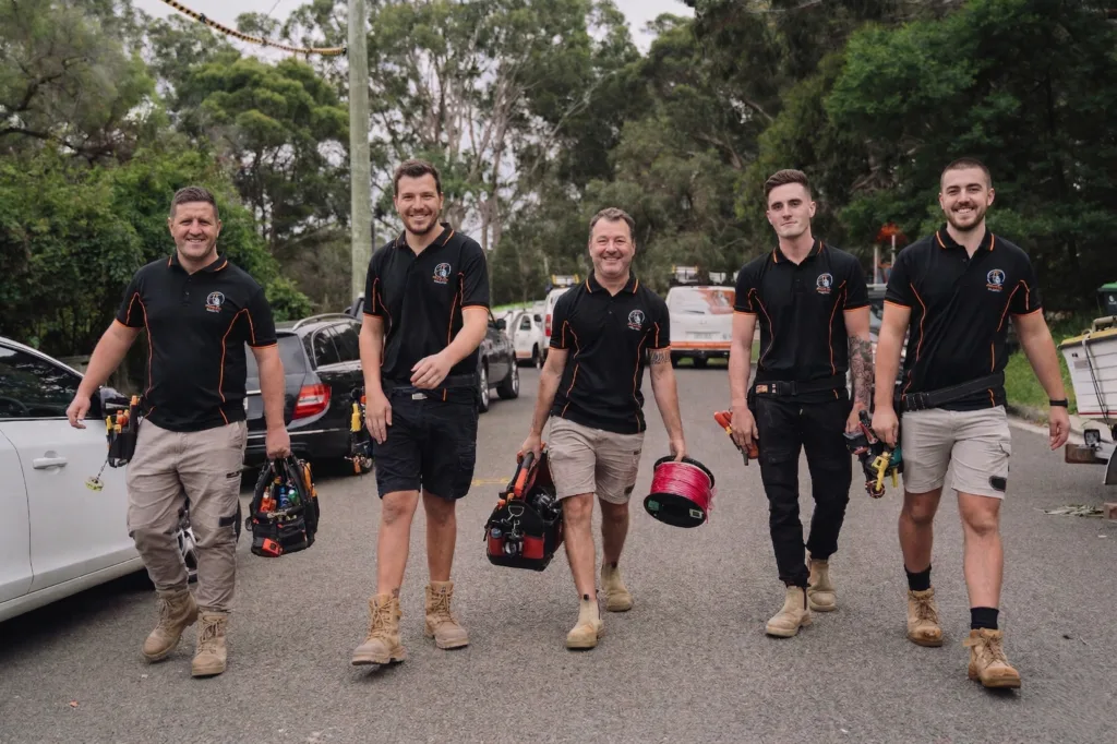 Professional electrical services in Queenscliff